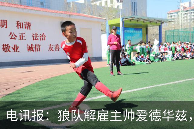 电讯报：狼队解雇主帅爱德华兹，葡萄牙教练佩肖托将接任